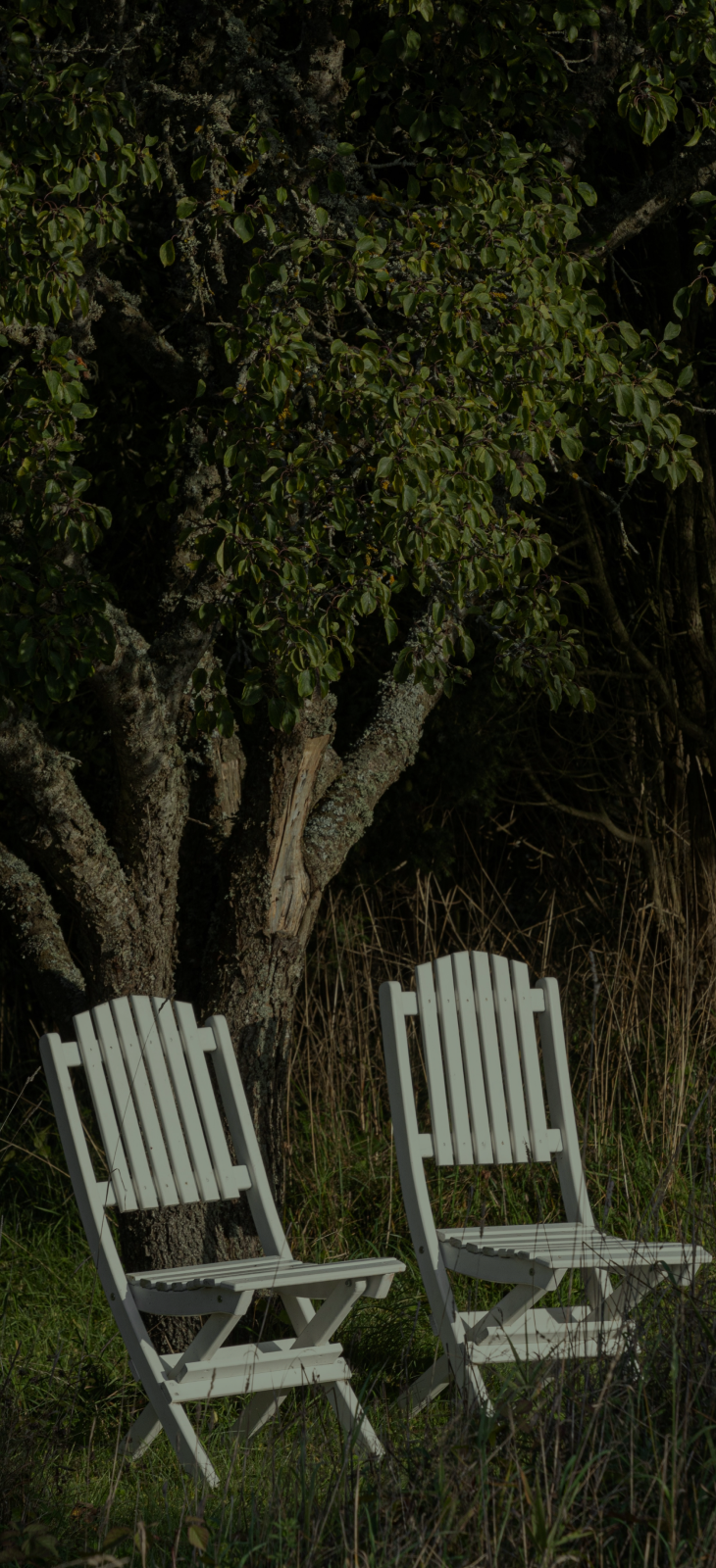 Background Chairs