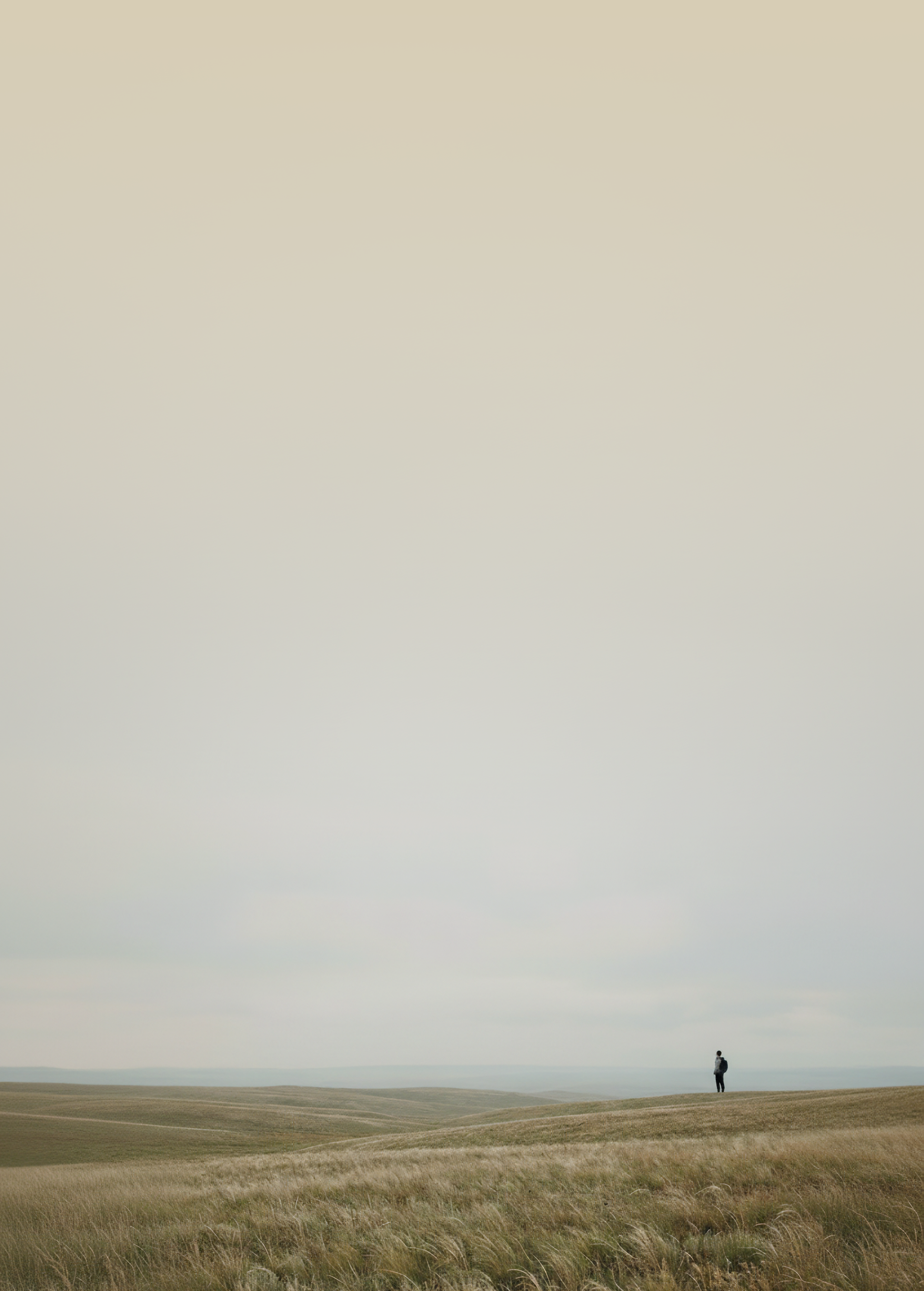 FAQs Background