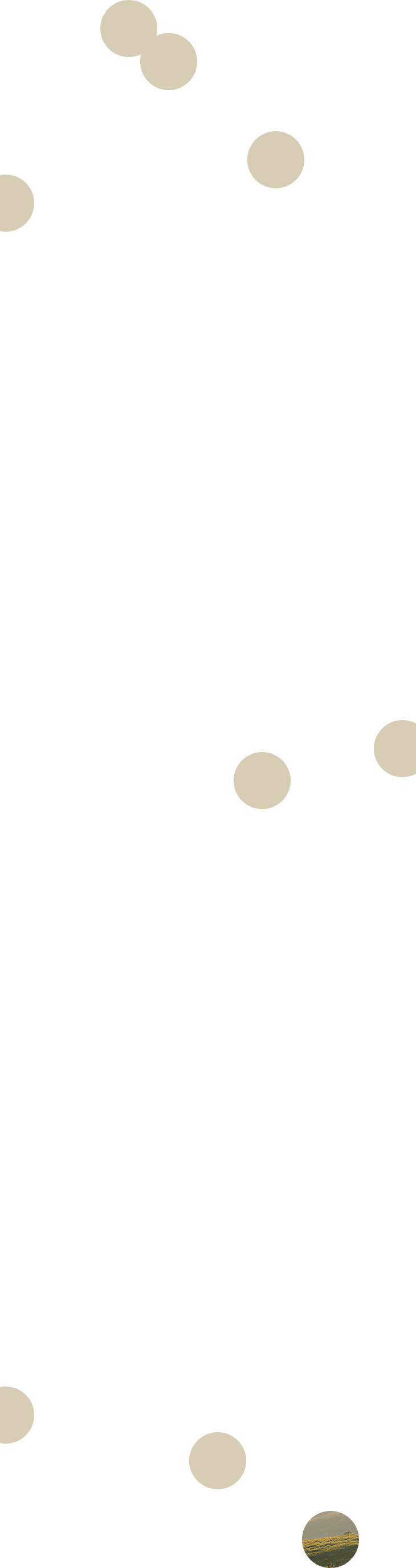 Hero Circles