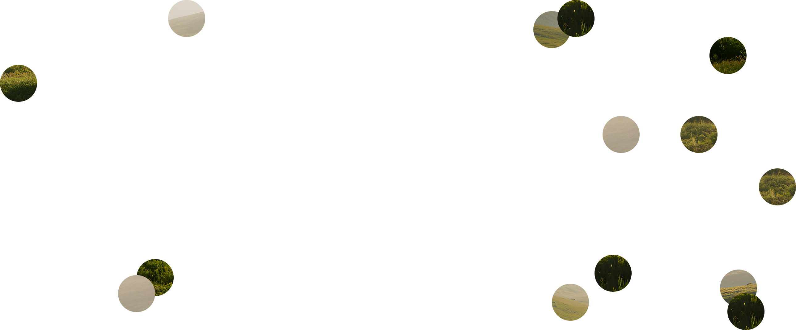 Quote Circles
